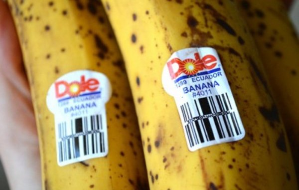 Будьте осторожны, когда покупаете бананы! Знаете ли вы, что означают ЭТИ наклейки?