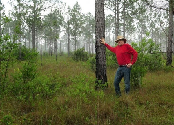 Этот человек высадил 8 млн деревьев и восстановил лес, вырубленный 100 лет назад