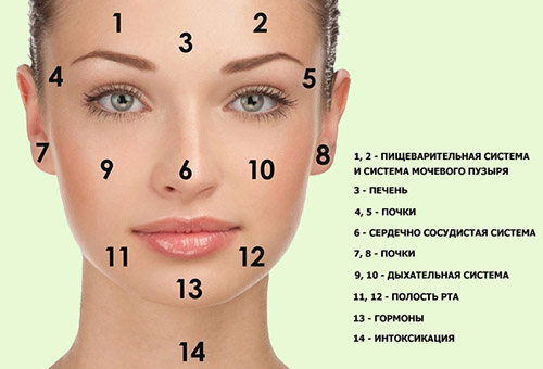 Карта высыпаний на лице: состояние твоей кожи напрямую зависит от работы внутренних органов!