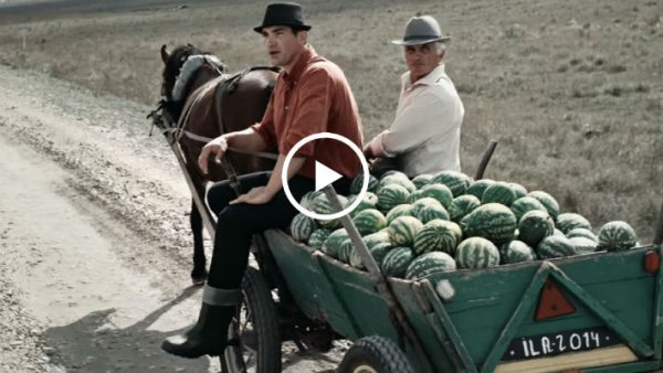 Молдавские фермеры взорвали интернет, исполнив хит Queen!