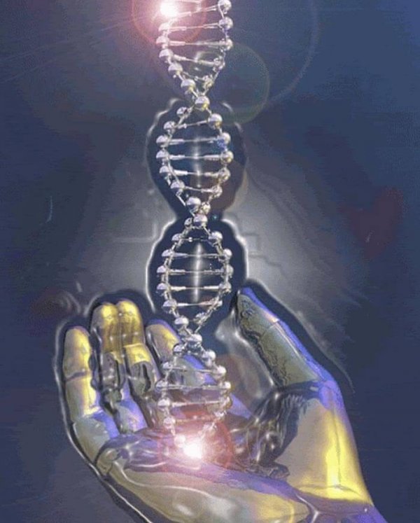 Вера исцеляет и меняет генетический код организма!