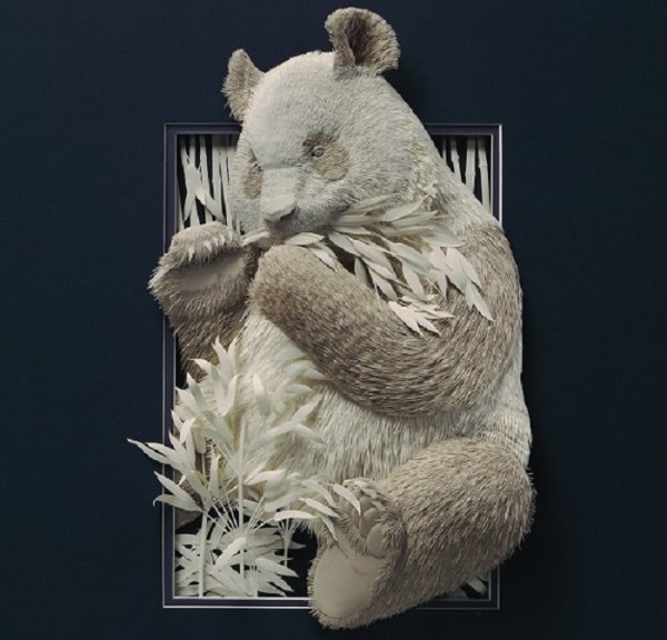 Думаешь, это просто фото белого медведя в спячке? Мой тебе совет, взгляни-ка на него поближе!