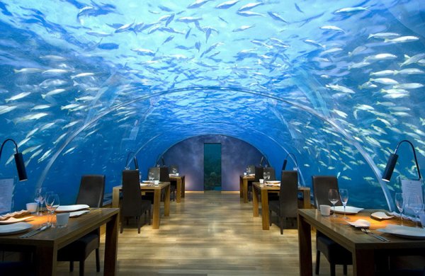 35 самых удивительных ресторанов мира, в которых должен поужинать каждый (35 фото)
