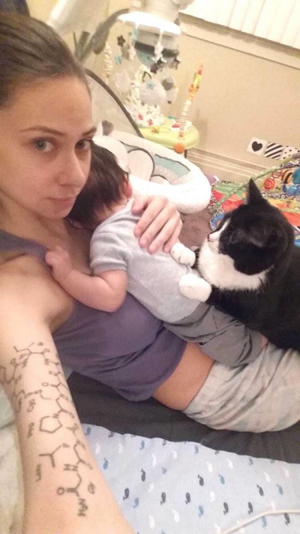 Кошка не слазила с живота беременной девушки. Но самое интересное произошло после родов…