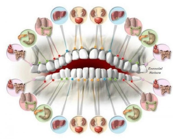 Читаем по зубам о болезнях… Доктора удивлены точностью этого метода!