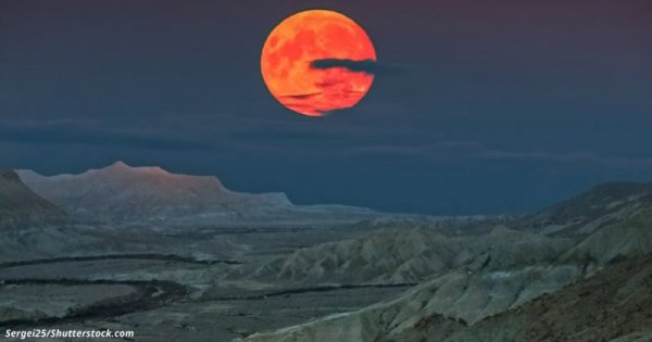Скоро в небе будет самая большая Луна за 70 лет!