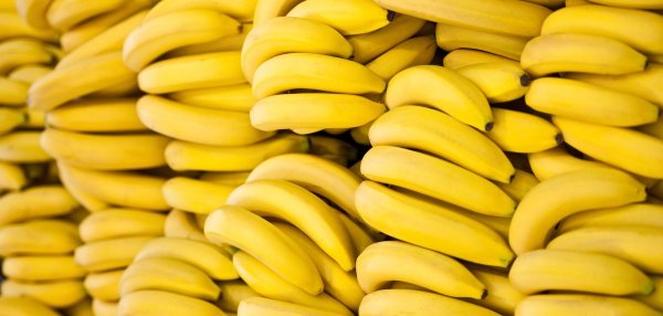 Если Вы любите бананы, то прочтите эти 10 шокирующих фактов