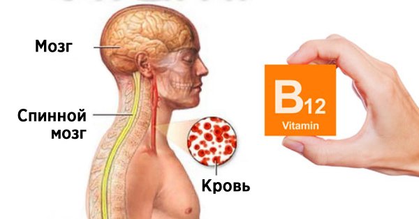 Появились проблемы со зрением и памятью? В этом виноват дефицит витамина B12! Узнайте насколько это опасно!