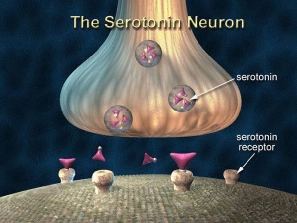 Серотонин: гормон светлой радости и счастья