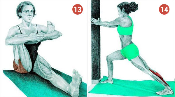 14 упражнений для растяжки мышц всего тела