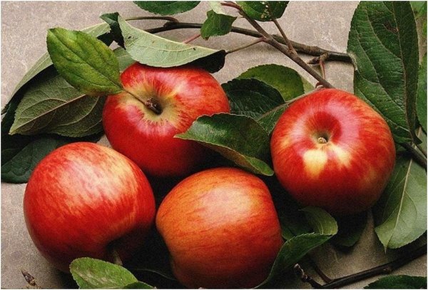 Тест на 1 минуту — 100 %-процентное попадание в яблочко!