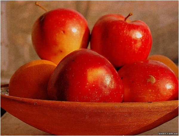 Тест на 1 минуту — 100 %-процентное попадание в яблочко!