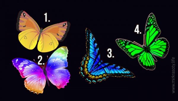 Нажмите на бабочку, которая вам понравилась, и узнайте тайны своей души!