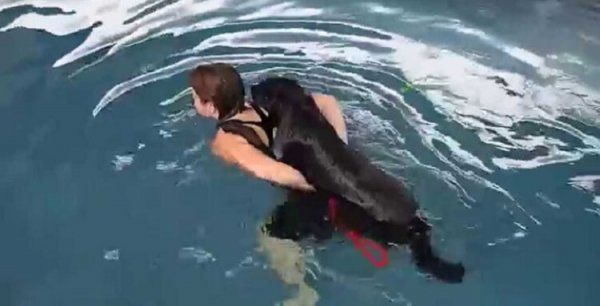 Женщина кричала, что не войдет в воду, где купается собака. Через несколько минут произошло НЕЧТО!