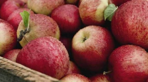 Яблочный Спас 2017: чего нельзя делать в праздник
