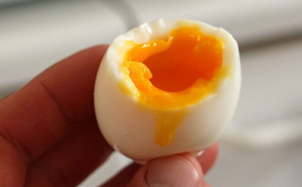 Вся правда про влияние яиц на здоровье человека! Факты подтверждённые научной средой!