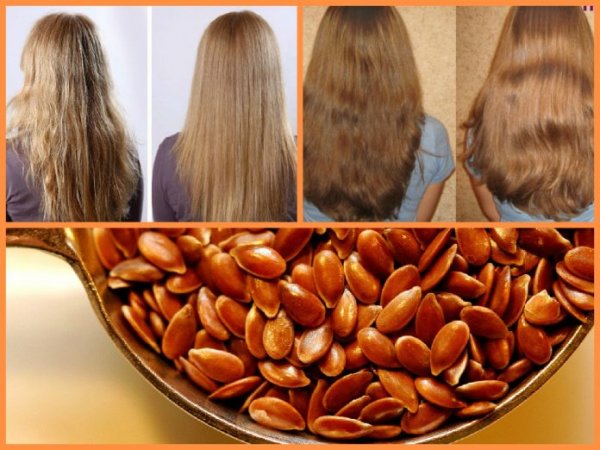 Как льняное семя может помочь предотвратить выпадение волос, появление перхоти, восстановит их силу и блеск