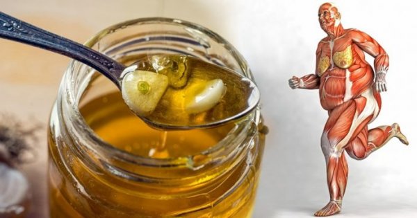 Ешьте мед каждый день, и эти 8 вещей произойдут с вашим организмом!