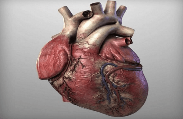 Предотвратите сердечные заболевания — 4 столовые ложки этого средства и попрощайтесь с закупоренными артериями и высоким кровяным давлением!