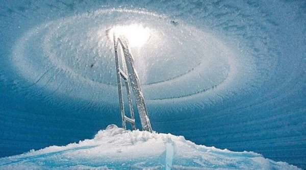 Шокирующие находки ученых в Антарктиде