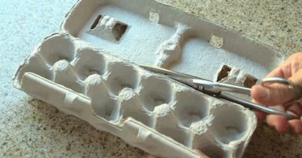 Как использовать упаковку для яиц