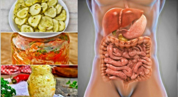 10 продуктов — натуральных пробиотиков от проблем с пищеварением