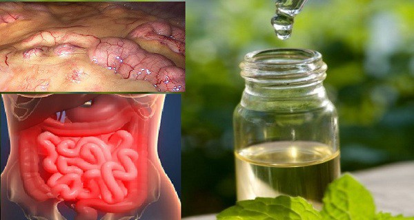 Устраните все токсины из организма за 3 дня — метод, предотвращающий рак, удаляющий жир и избыток воды!
