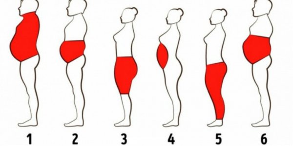 Шесть различных типов жира в теле и методы борьбы с ним