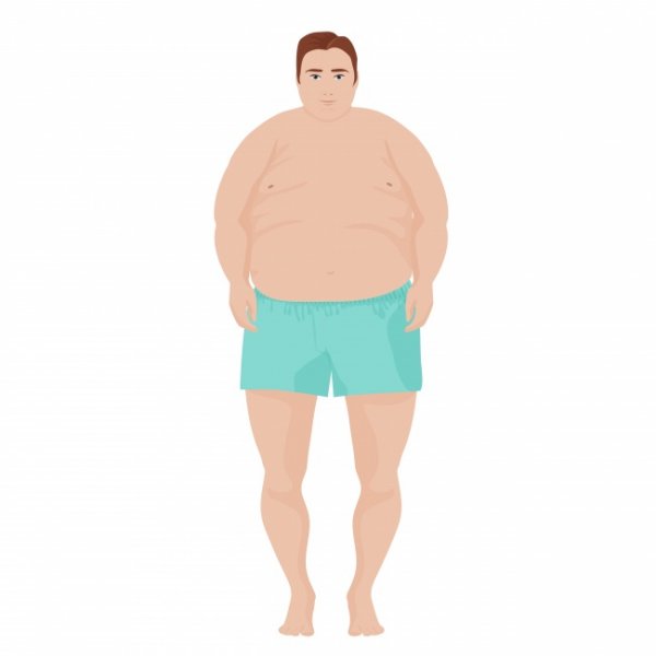 Шесть различных типов жира в теле и методы борьбы с ним