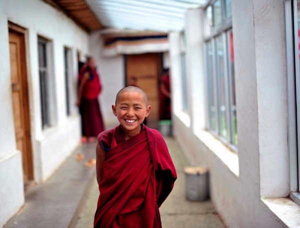 Сын маминой подруги привез из Тибета секрет долголетия! Монахи каждый день едят дешевую…