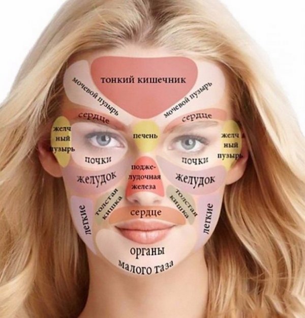 Как отражаются внутренние органы на лице
