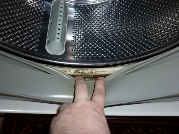 Мастер: «Сделайте это — ваша стиральная машинка никогда не сломается! А если регулярно…»