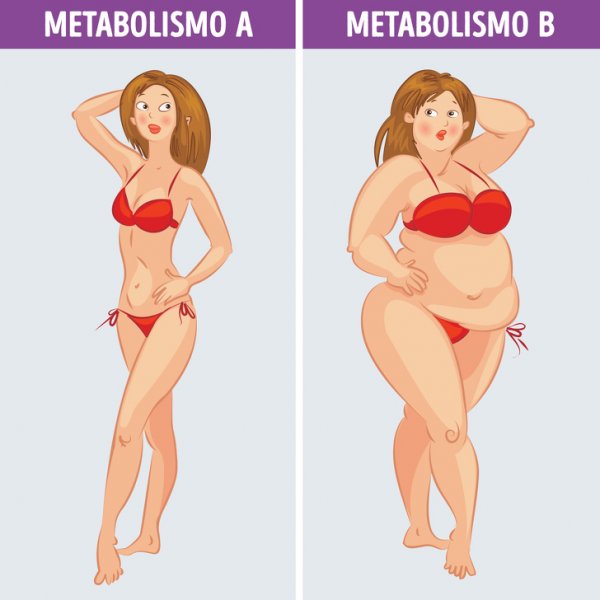 Что такое метаболическая диета и почему она действительно работает?