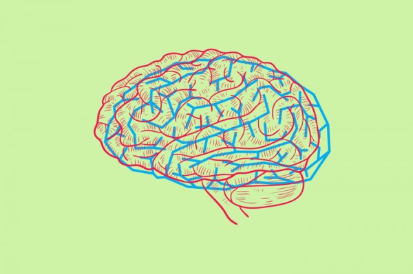 Биологический прайм-тайм: как обхитрить мозг или хотя бы научиться прокрастинировать с пользой