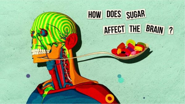 Как сахар влияет на мозг