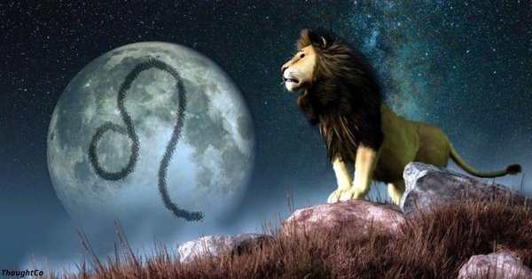 Вот 15 причин, почему Львы — лучшие среди всех знаков Зодиака!